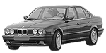 BMW E34 P0570 Fault Code
